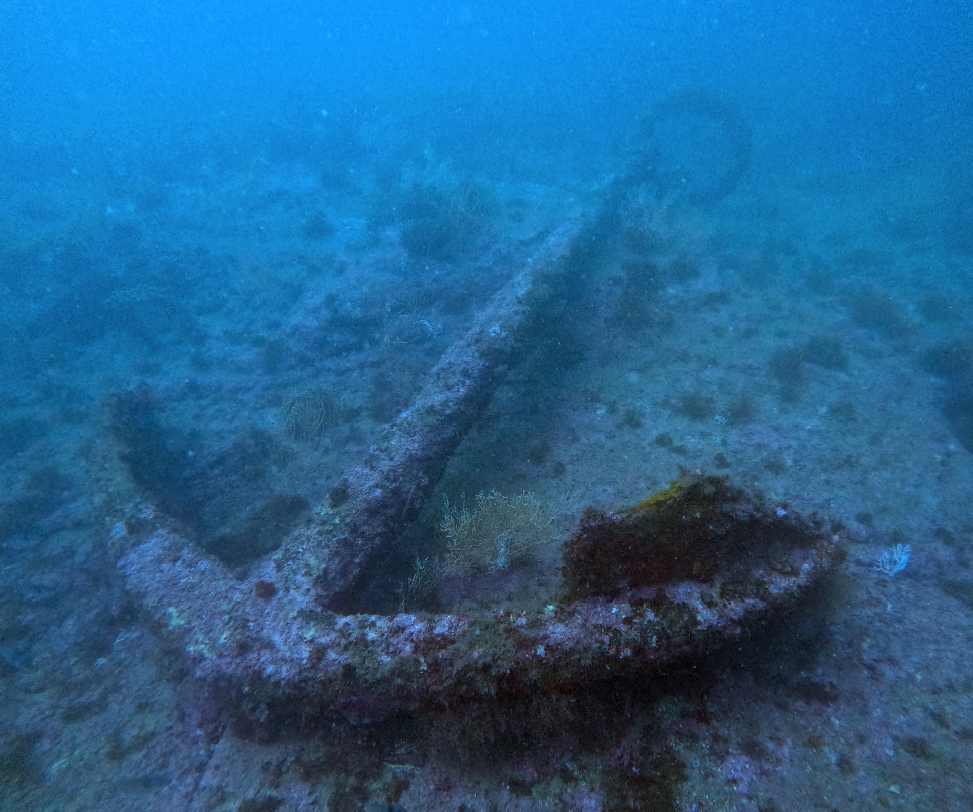 Anchor on the Meia-Praia area